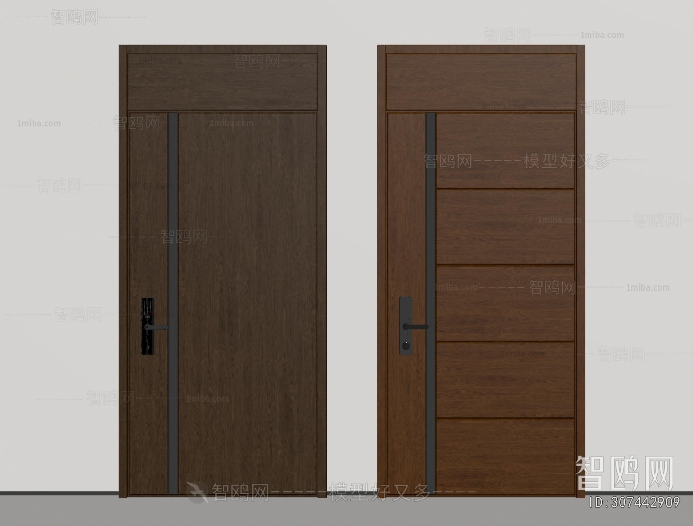 Modern Entrance Door