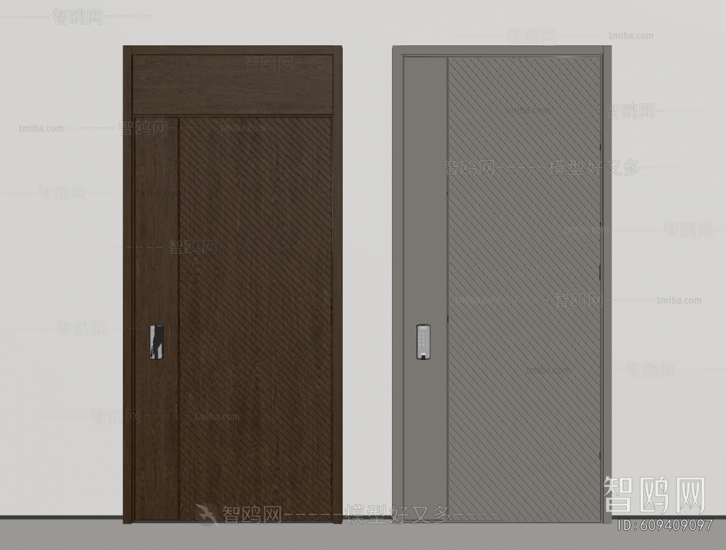 Modern Entrance Door