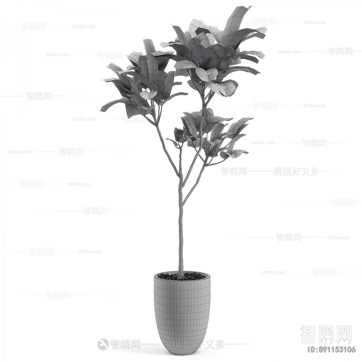 Modern Ground Green Plant Potted Plants