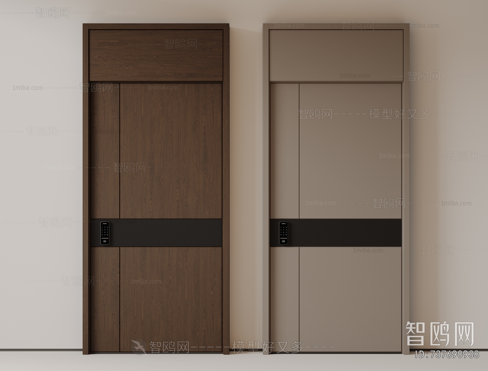 Modern Entrance Door