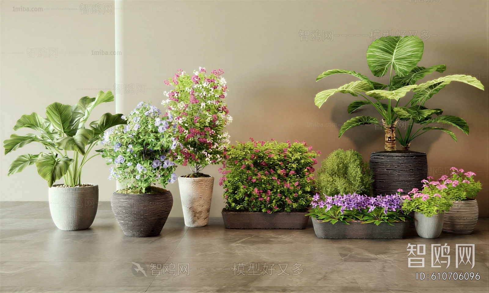 Modern Flower Bed, Flower Bowl, Flower Box