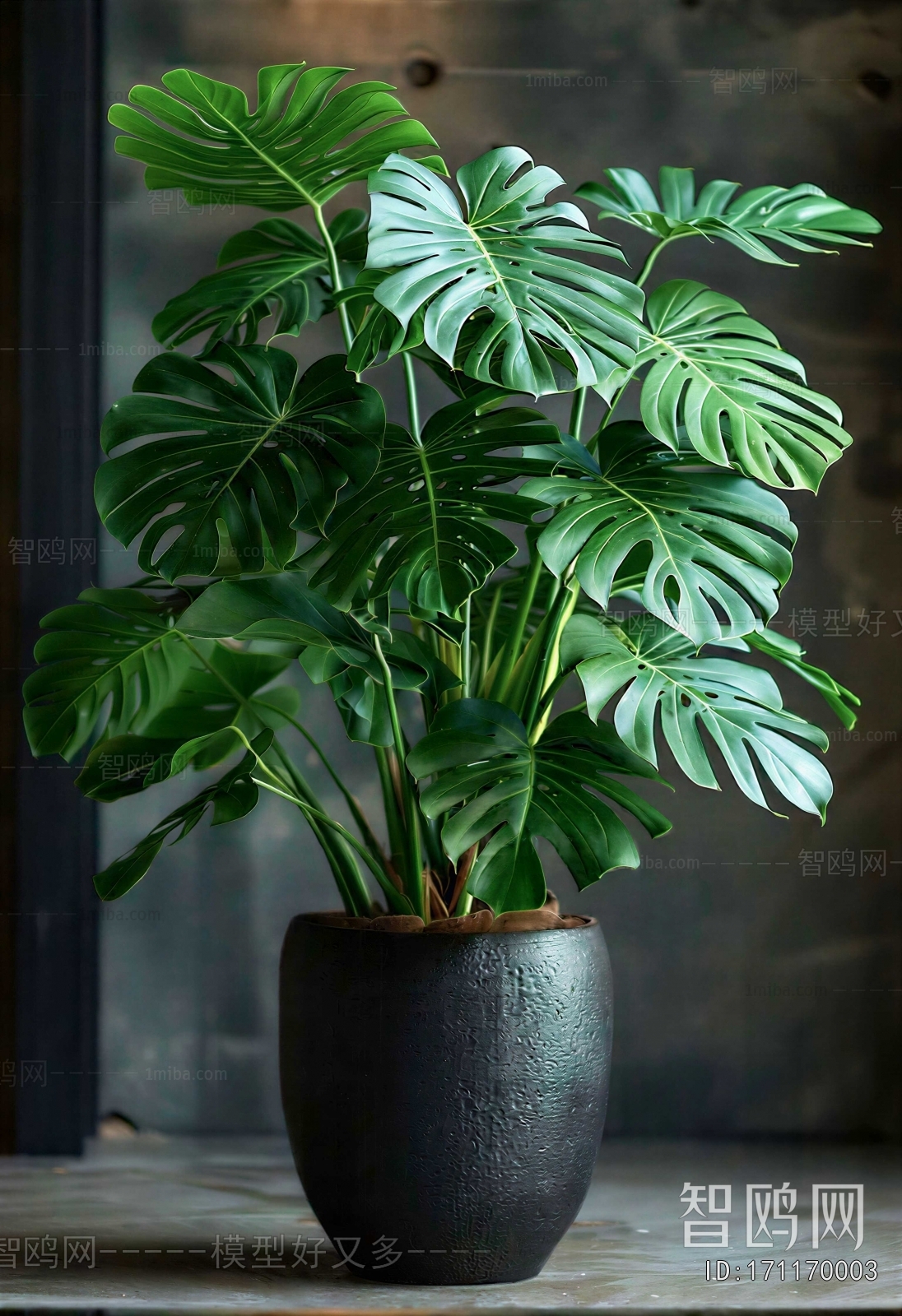 Modern Ground Green Plant Potted Plants