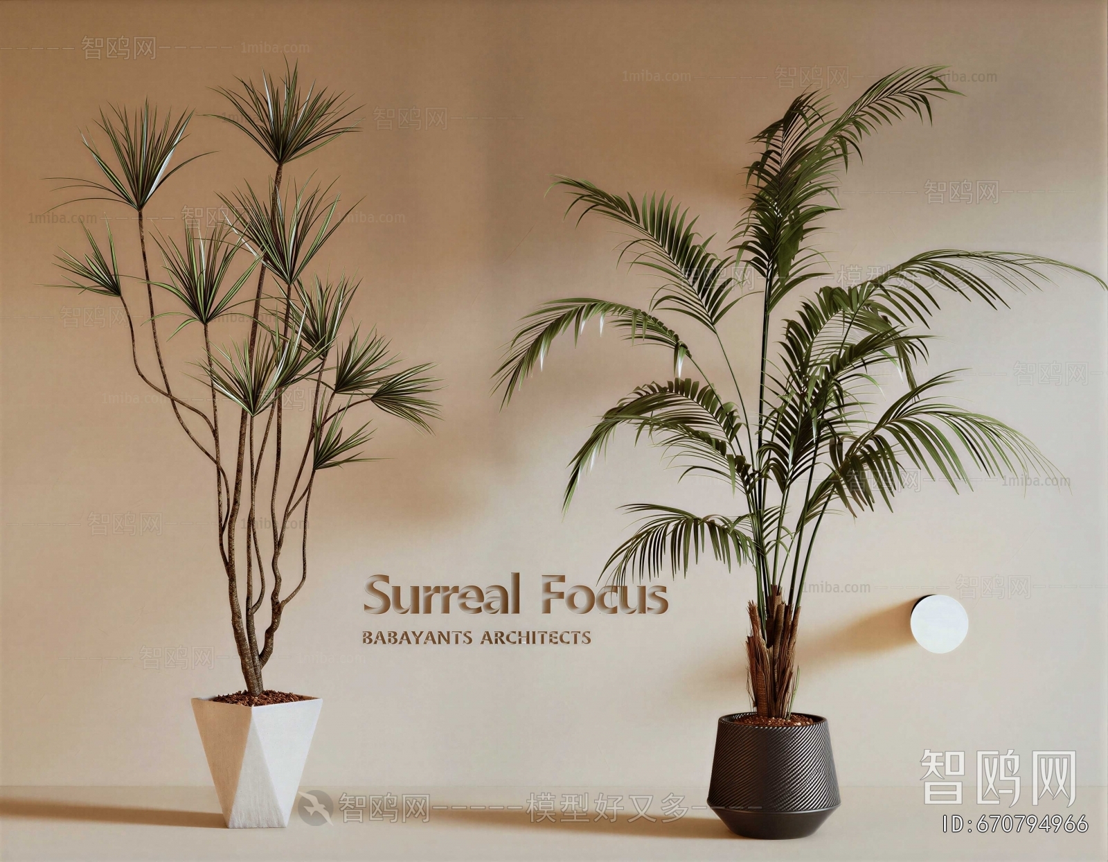 Modern Ground Green Plant Potted Plants