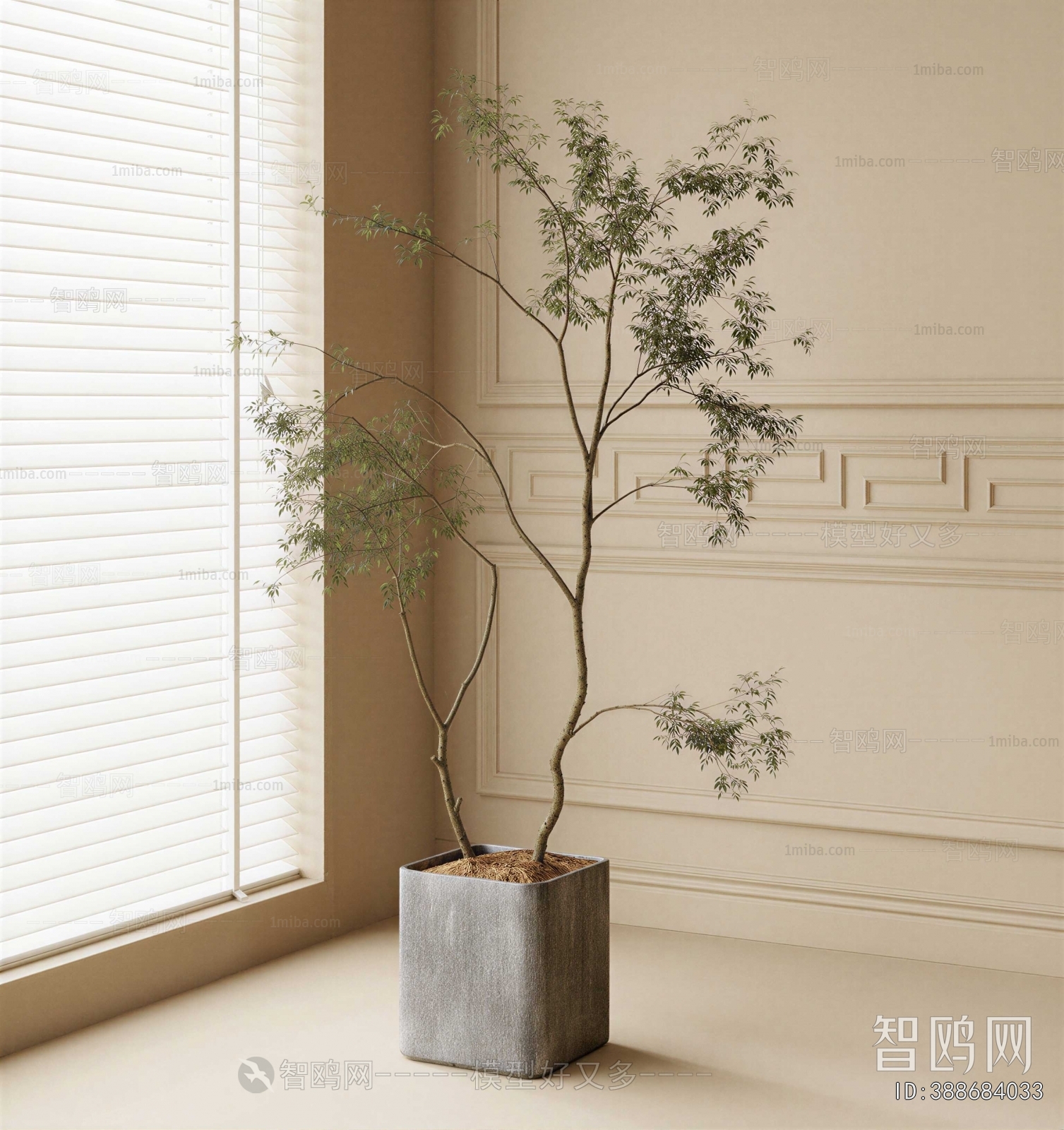 Modern Ground Green Plant Potted Plants