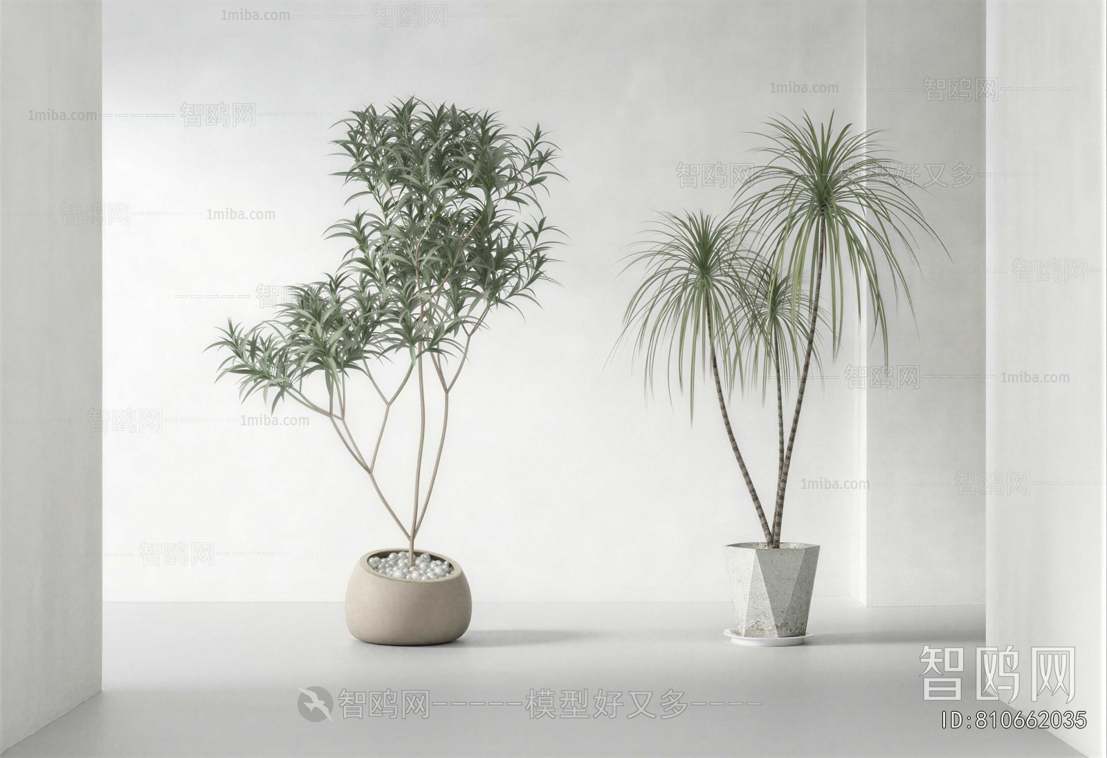 Modern Ground Green Plant Potted Plants
