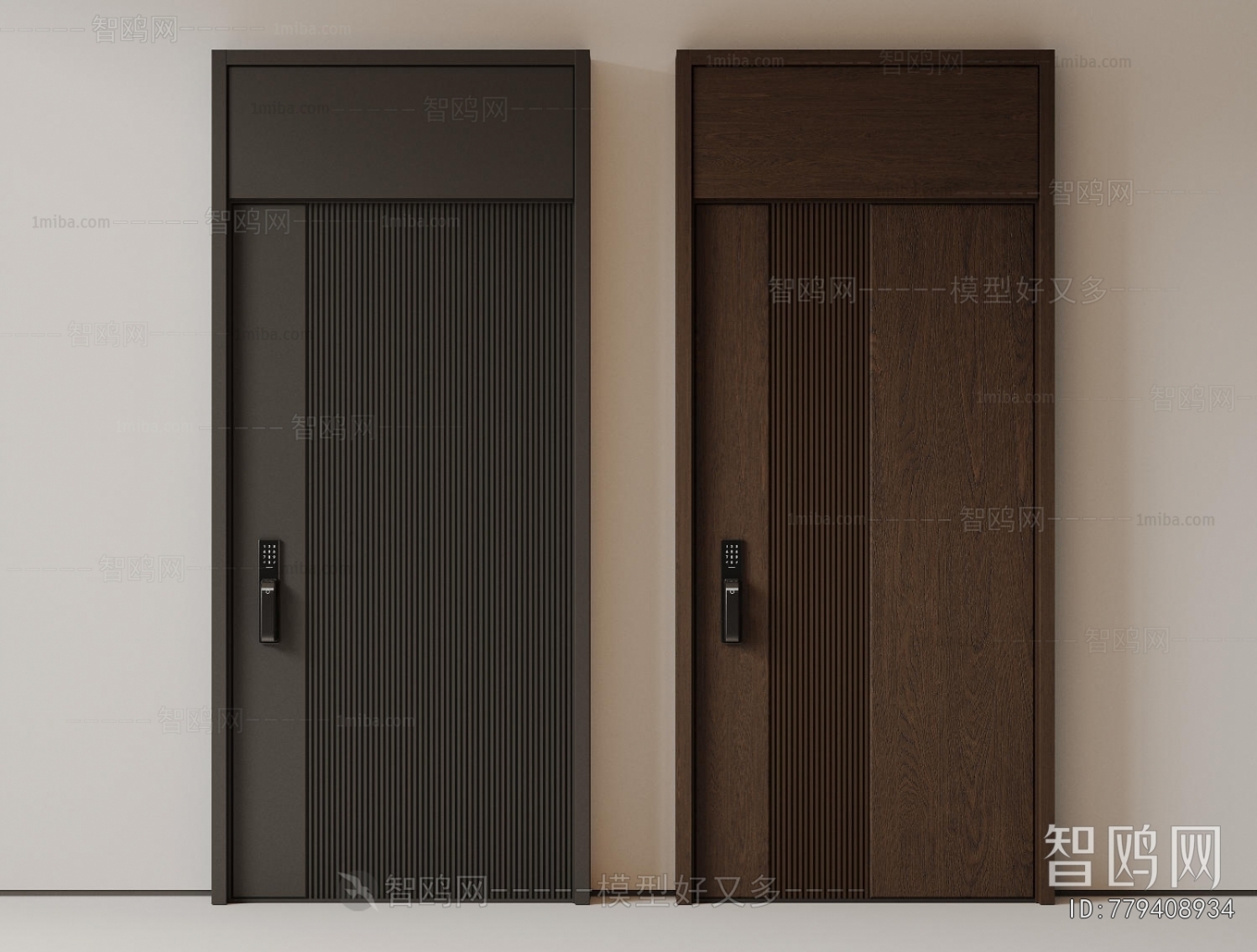 Modern Entrance Door