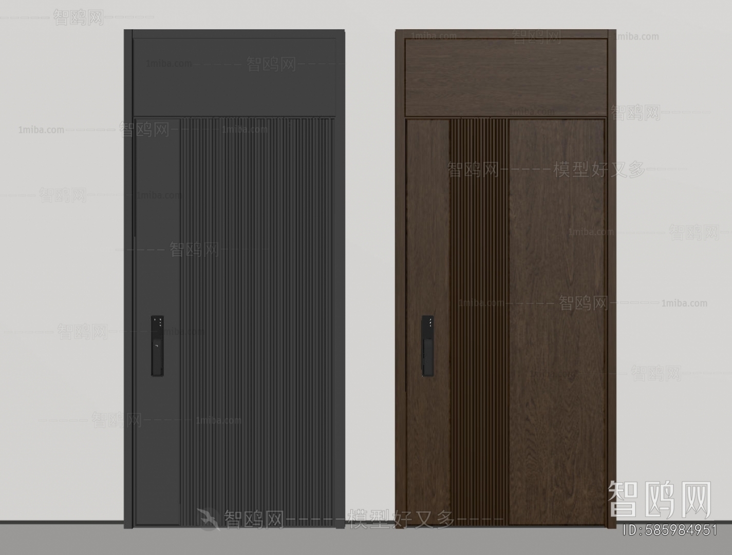 Modern Entrance Door