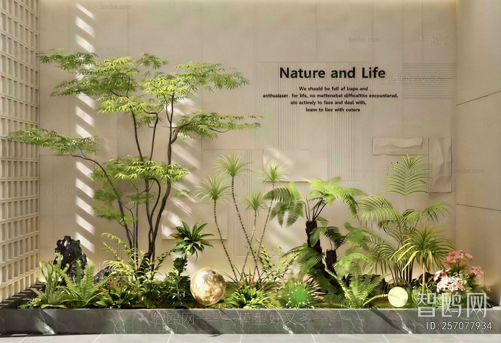 Modern Plant Landscaping