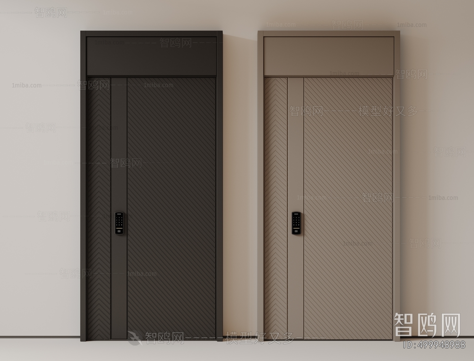 Modern Entrance Door