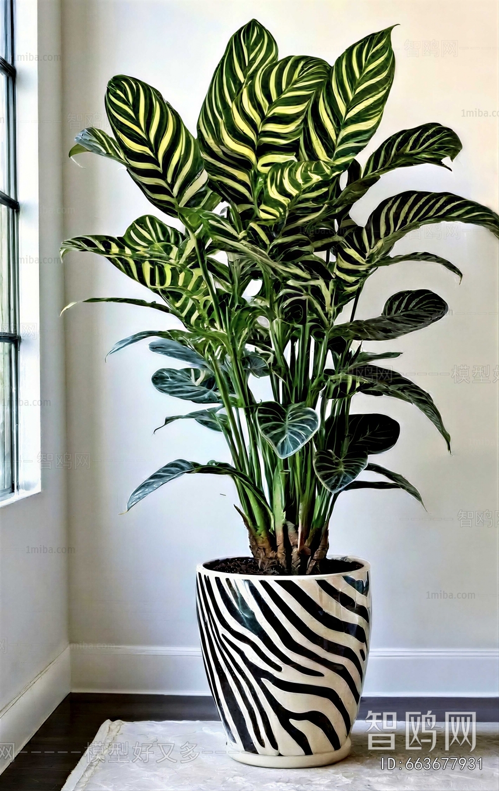 Modern Ground Green Plant Potted Plants