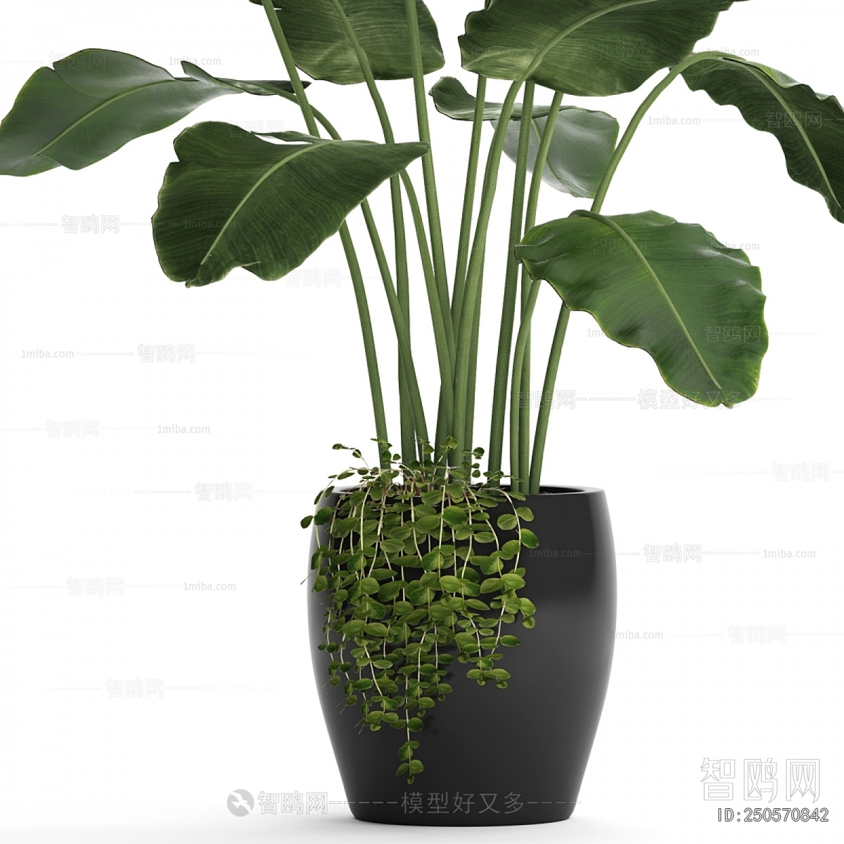 Modern Ground Green Plant Potted Plants