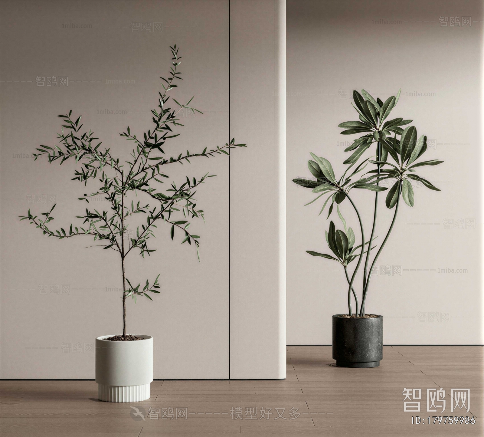 Modern Ground Green Plant Potted Plants