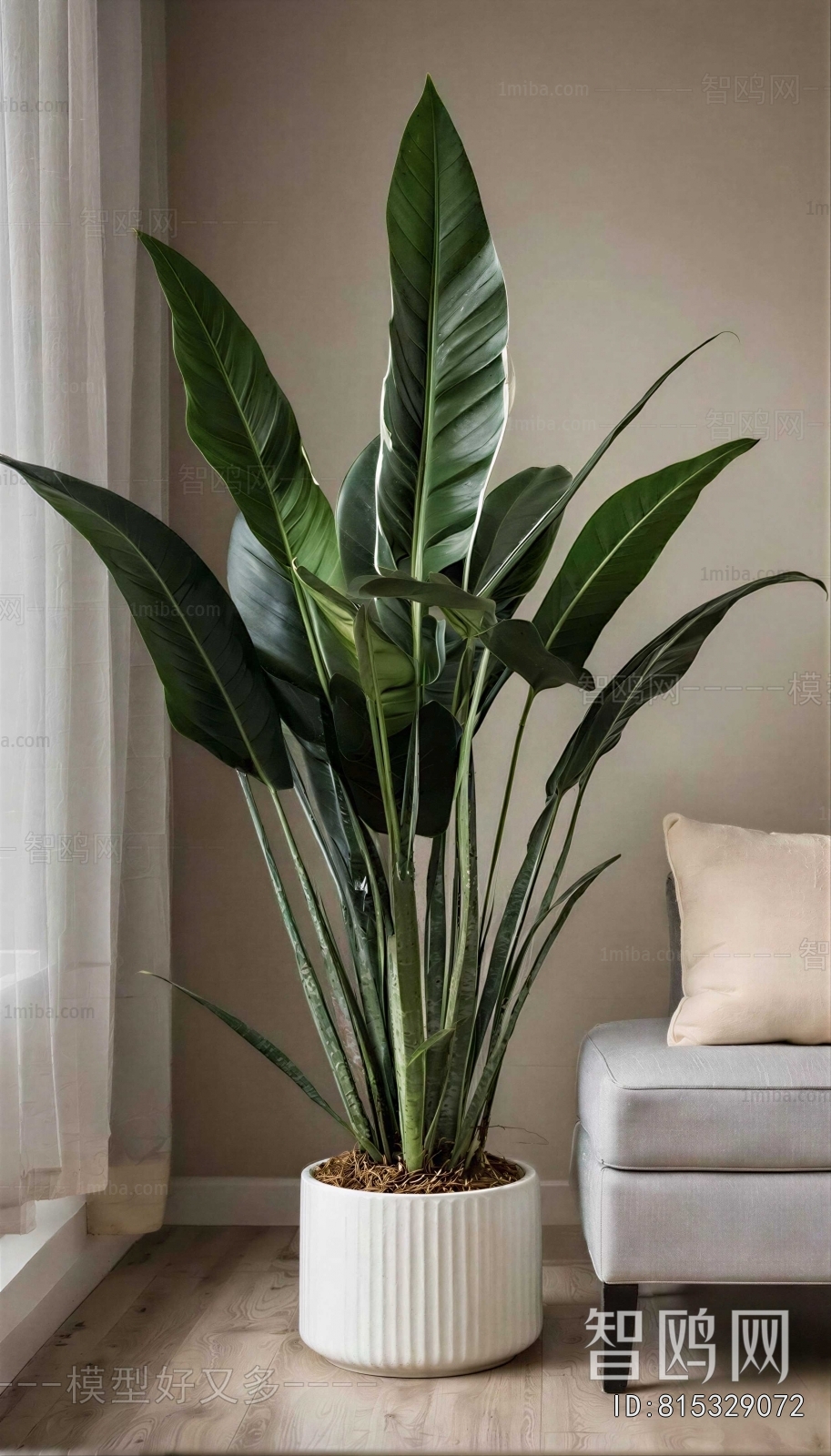 Modern Ground Green Plant Potted Plants