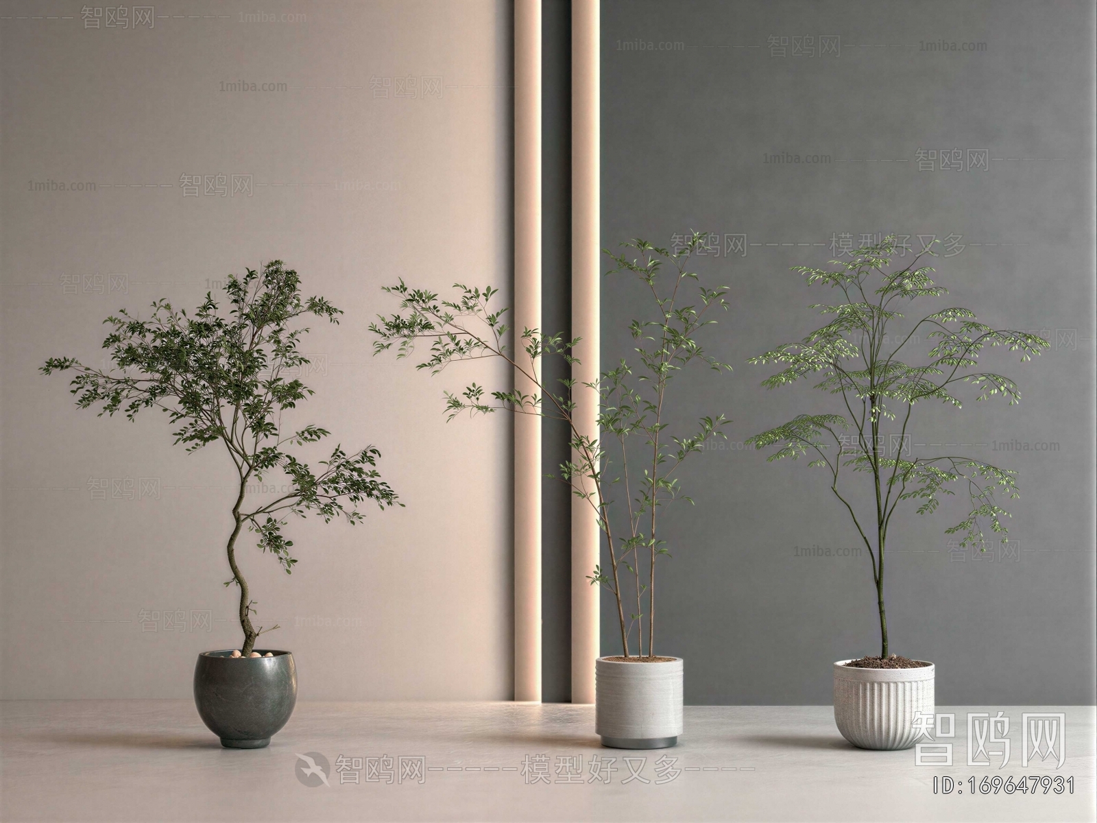 Modern Ground Green Plant Potted Plants