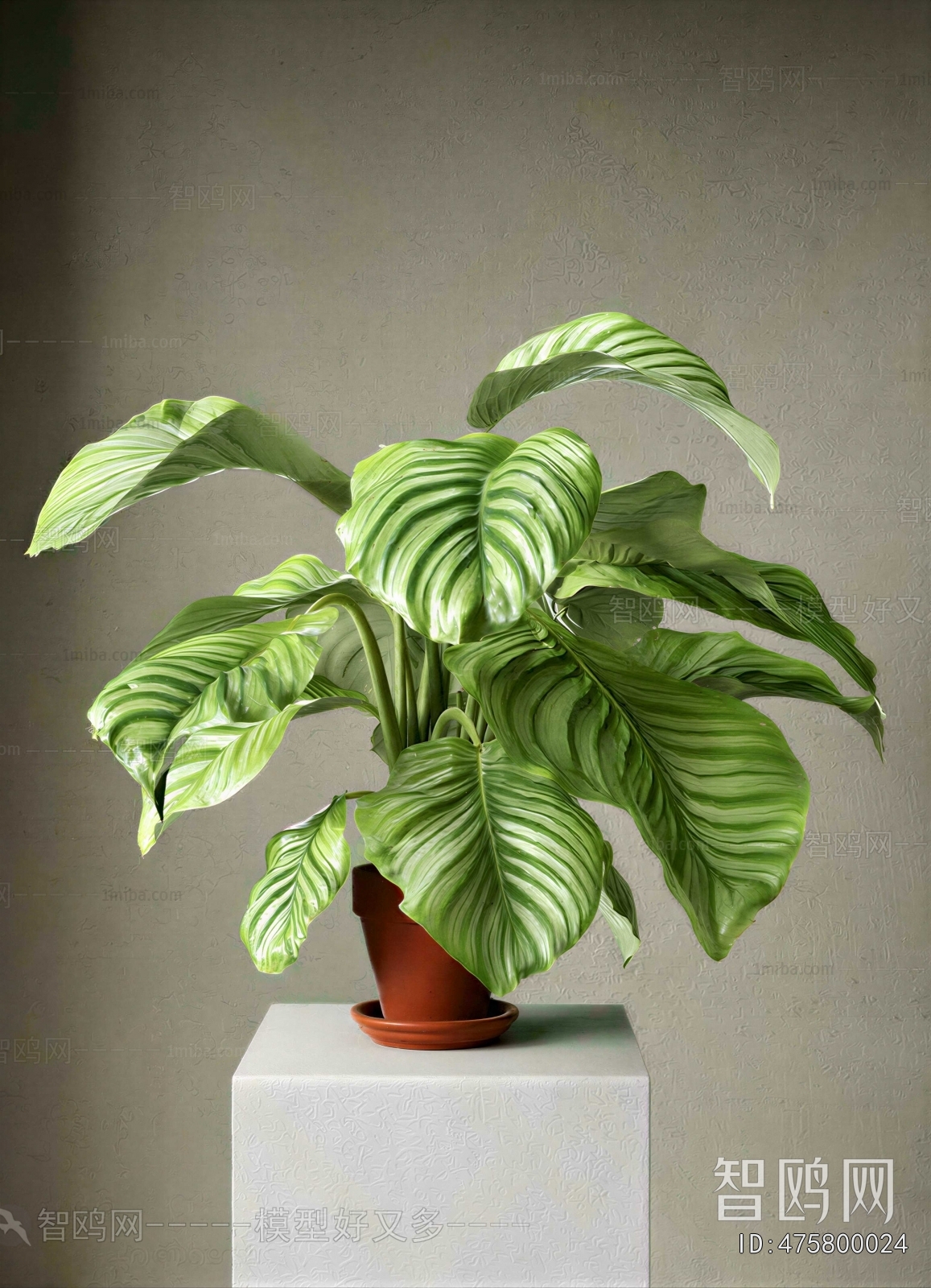 Modern Potted Green Plant
