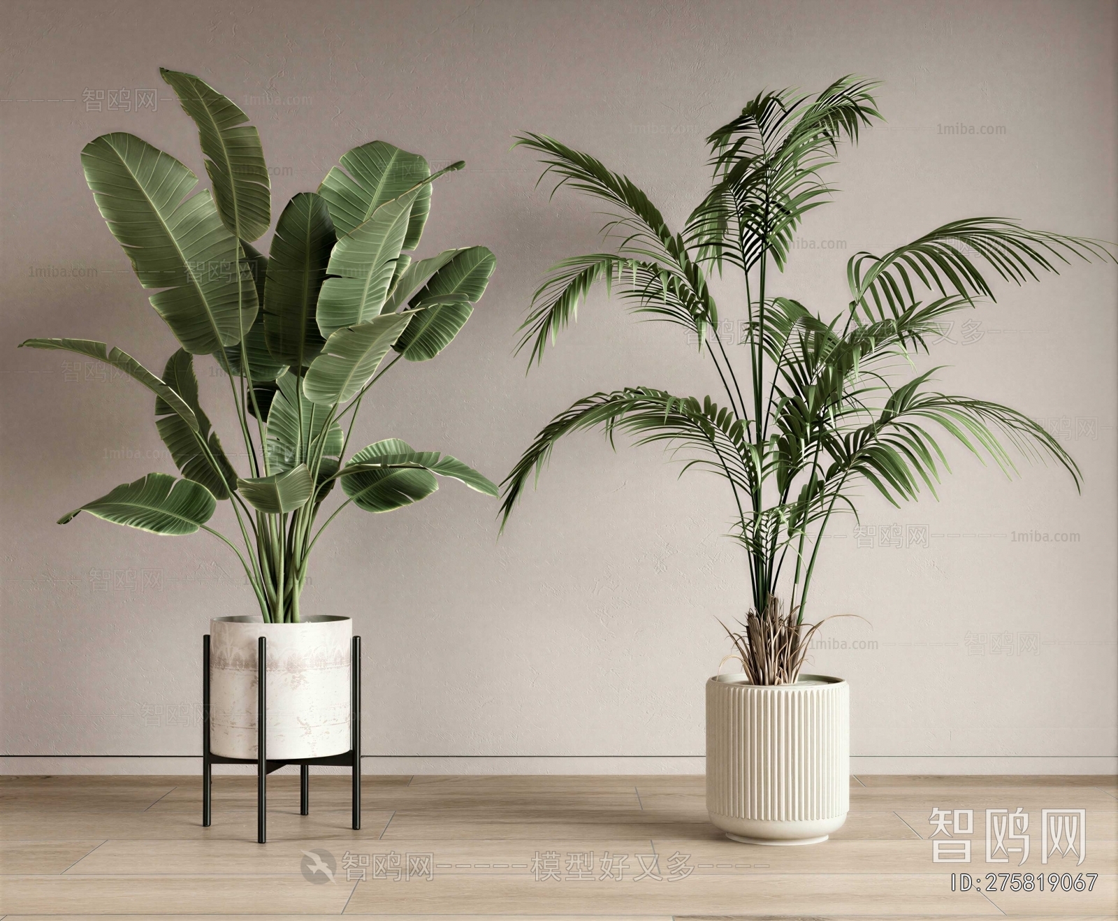 Modern Ground Green Plant Potted Plants