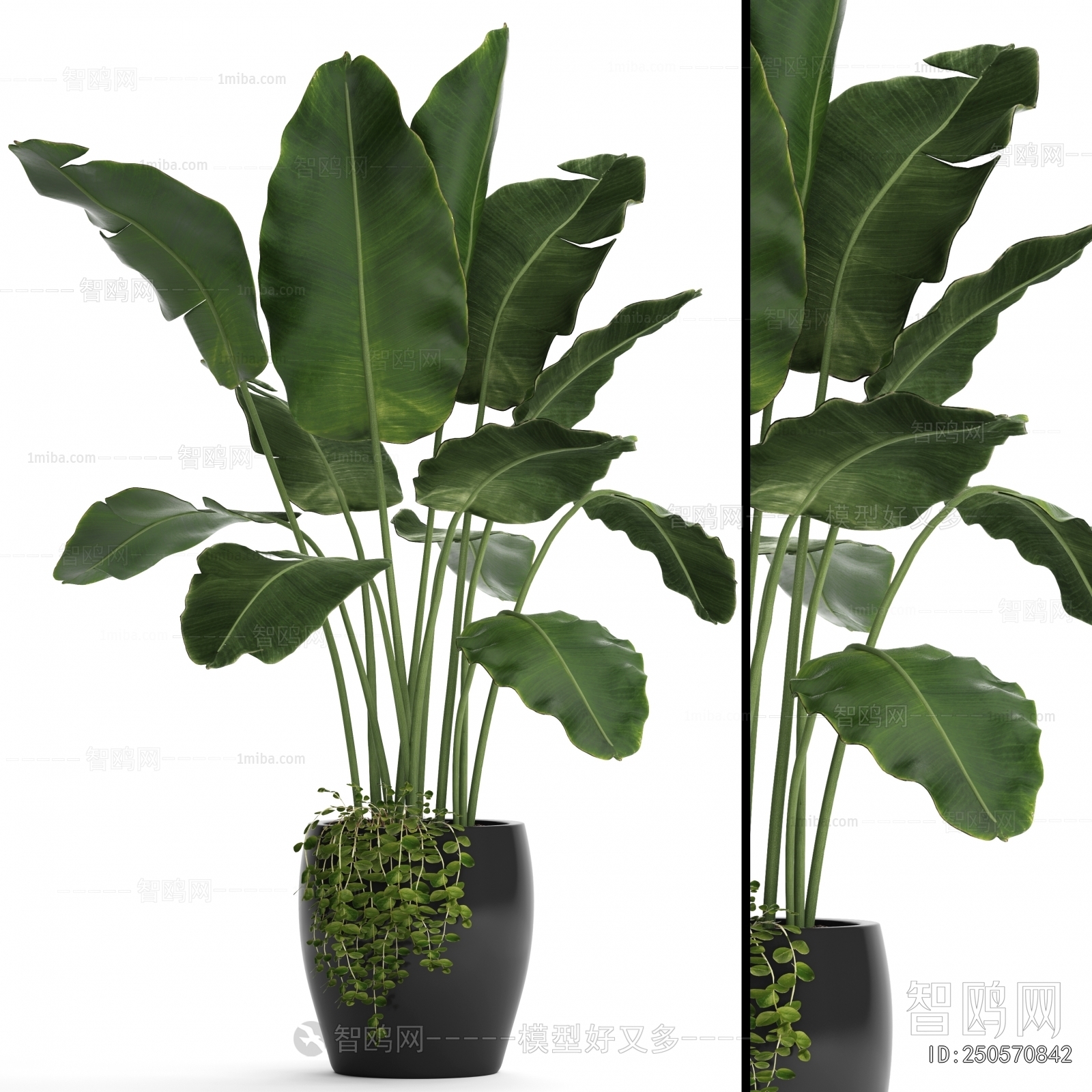 Modern Ground Green Plant Potted Plants