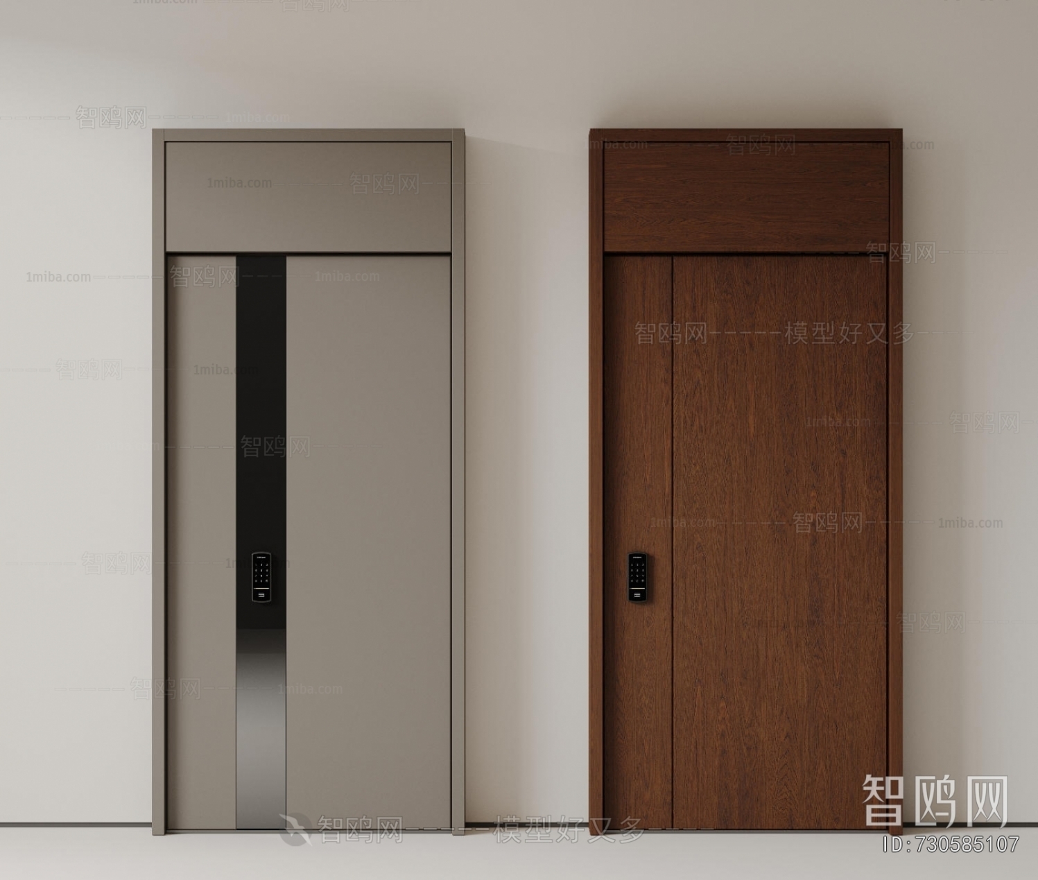 Modern Entrance Door
