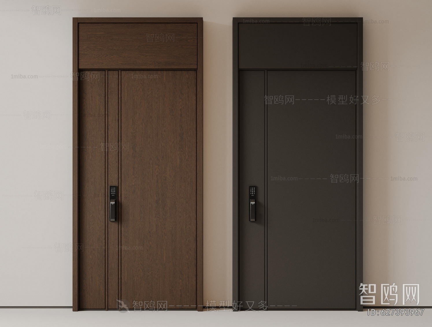 Modern Entrance Door