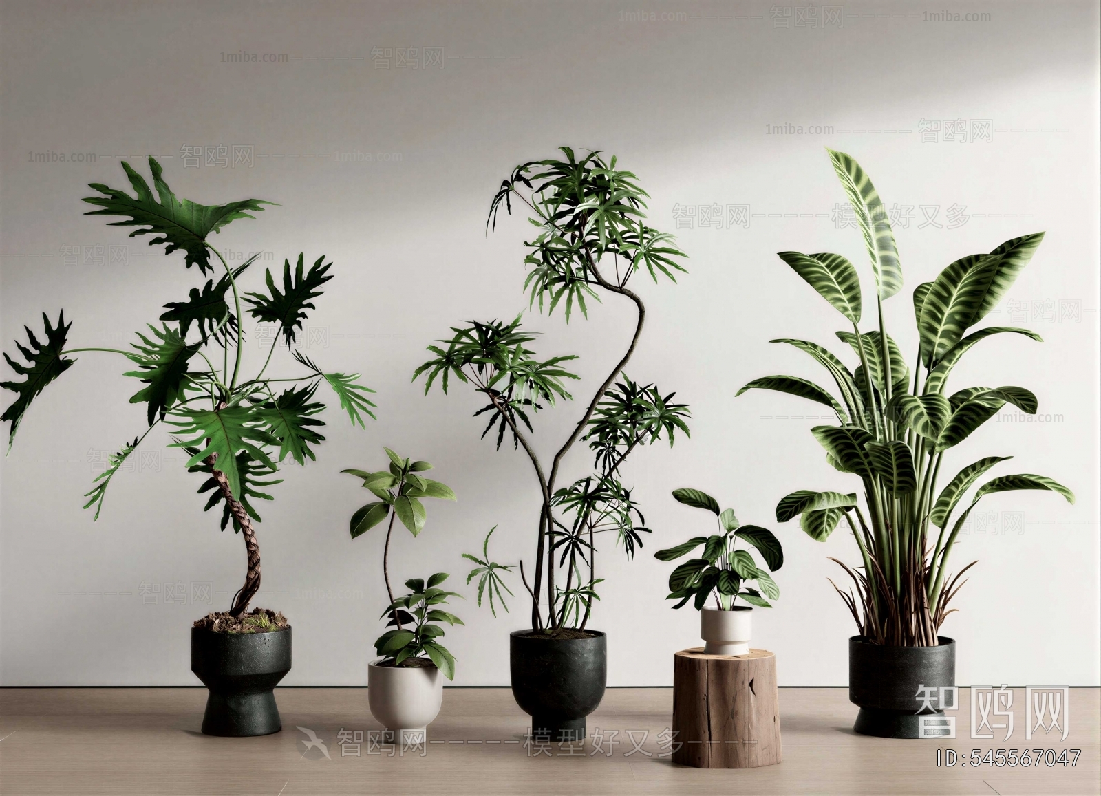 Modern Ground Green Plant Potted Plants