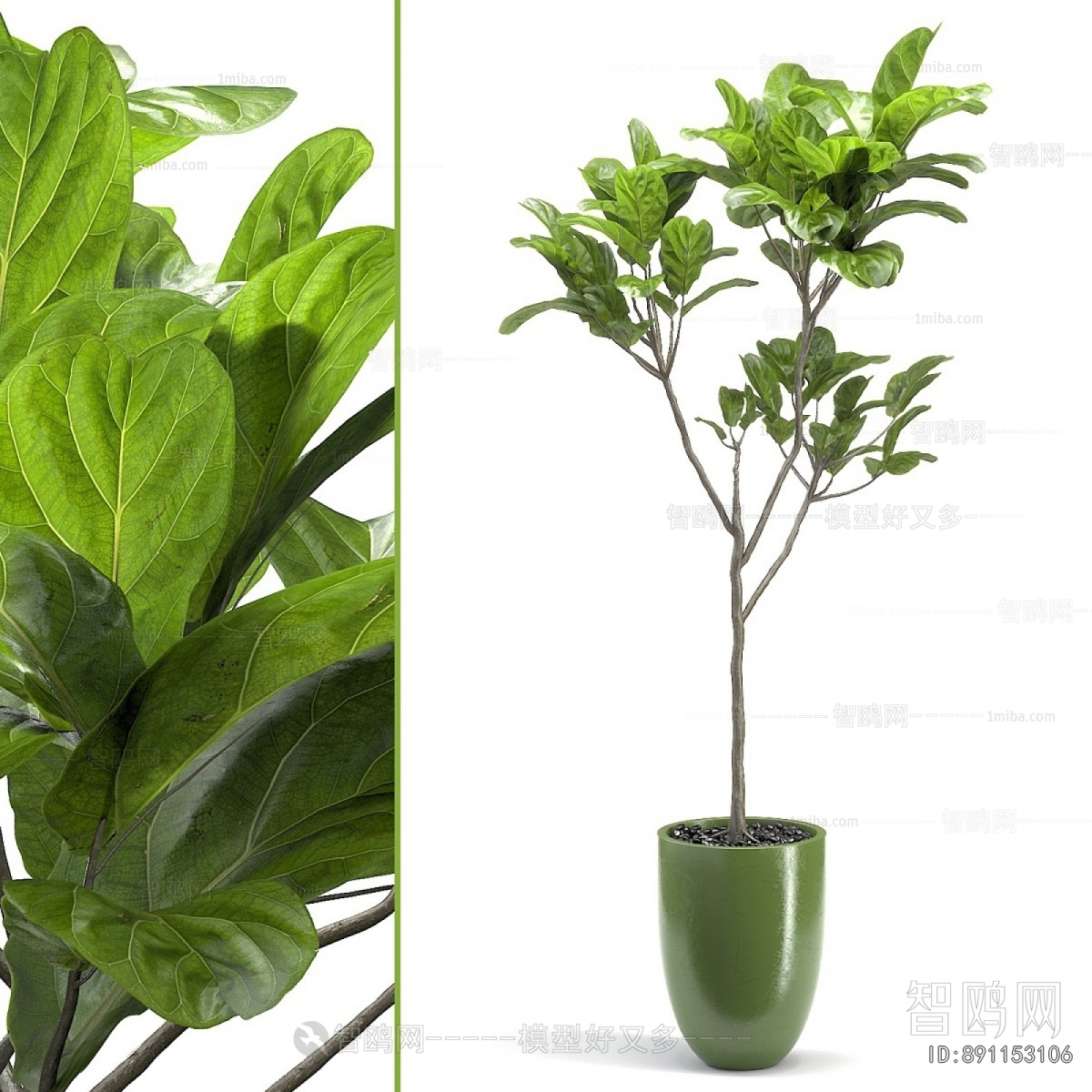 Modern Ground Green Plant Potted Plants