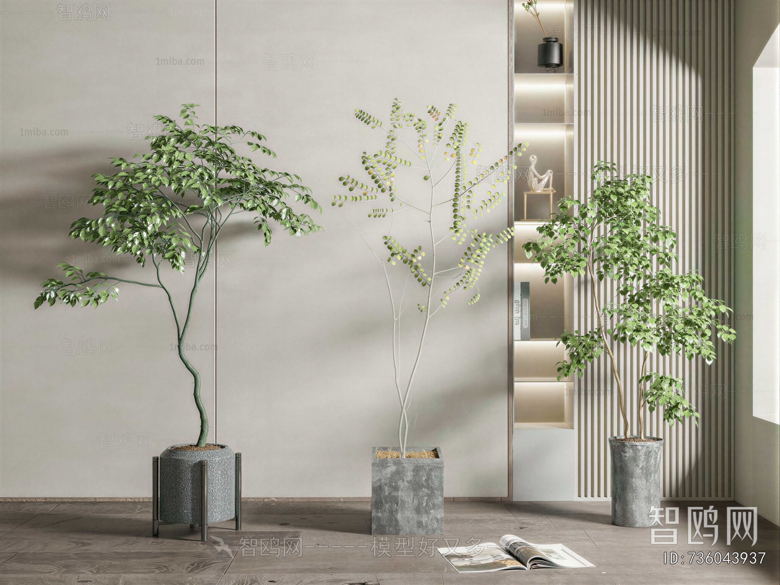 Modern Ground Green Plant Potted Plants
