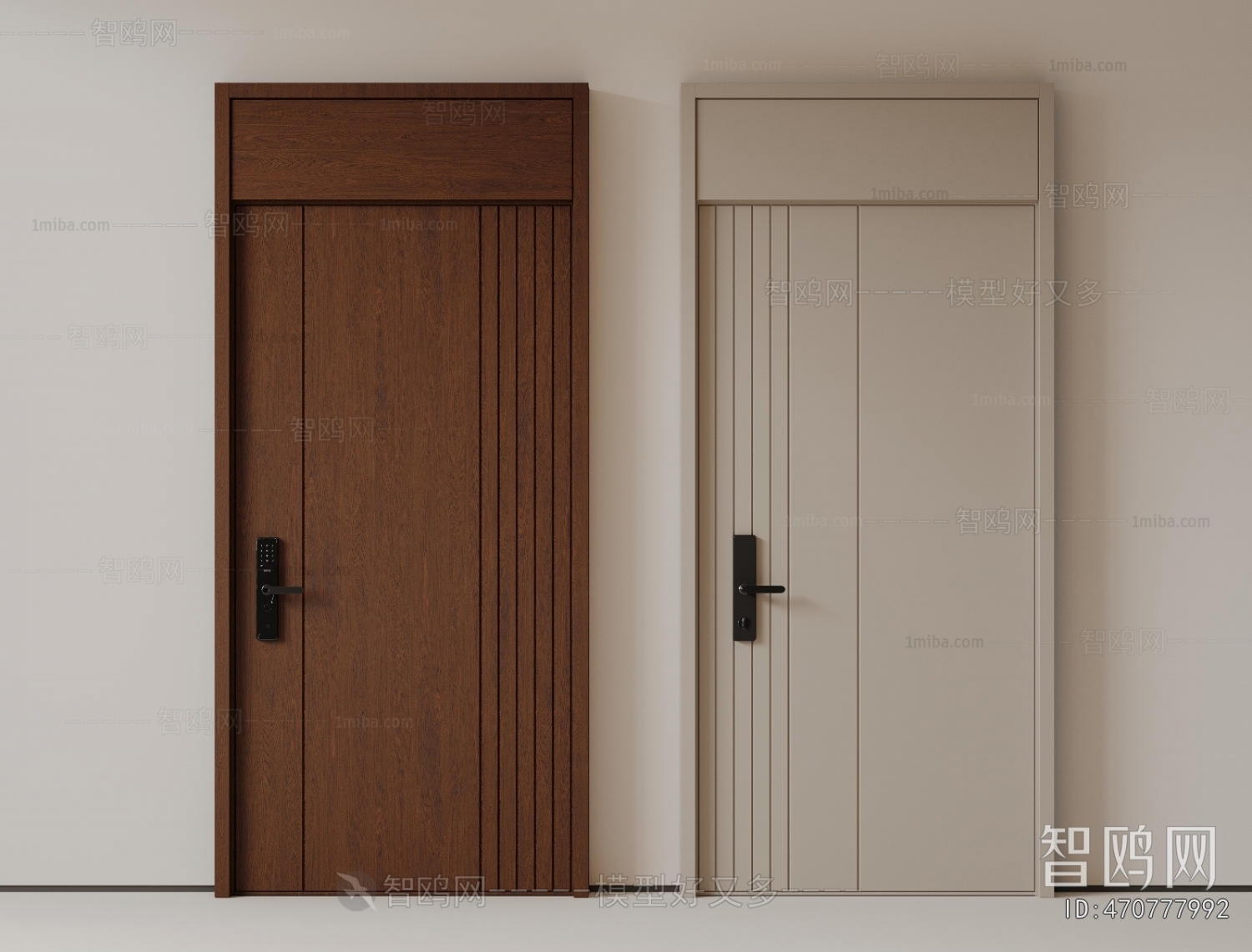 Modern Entrance Door