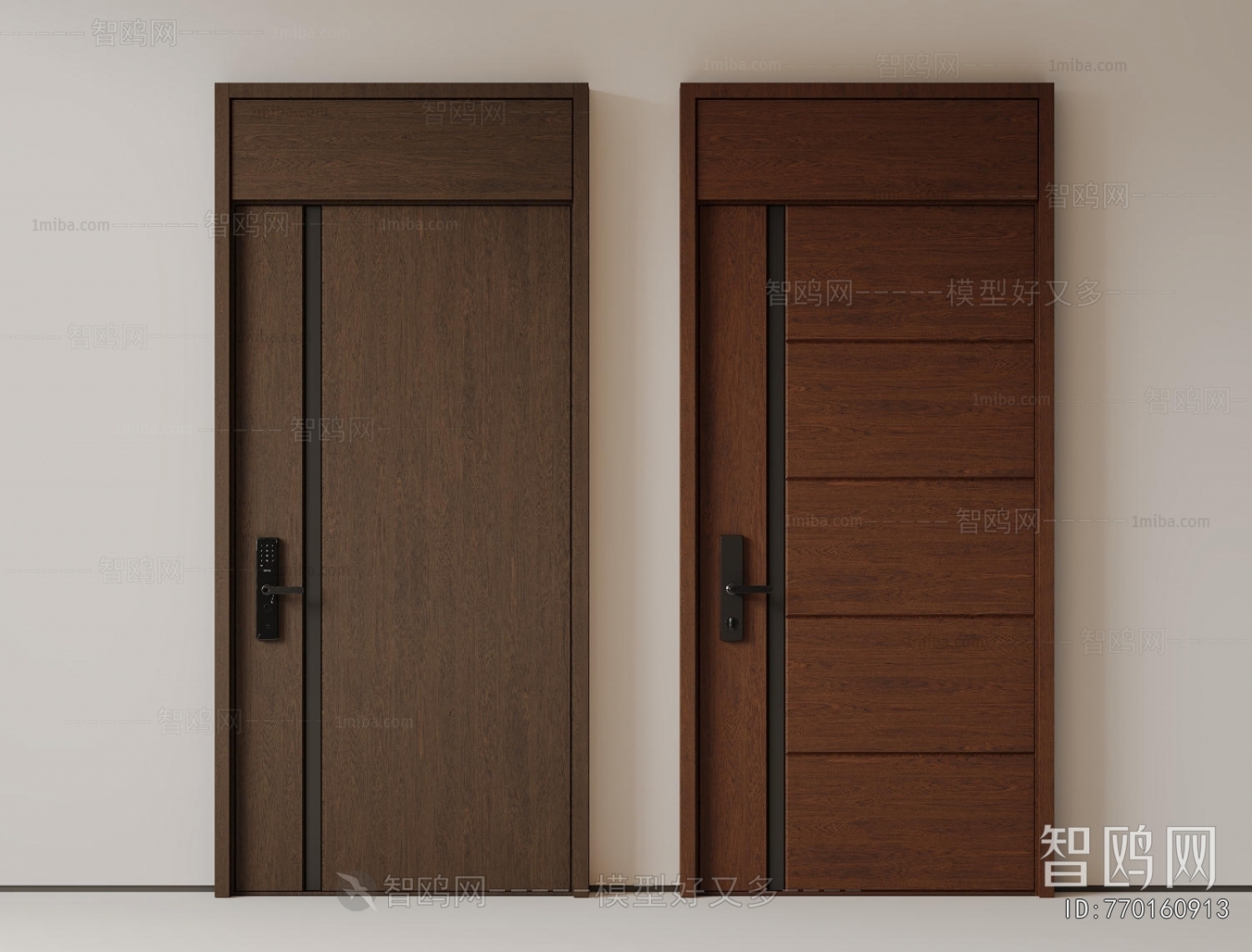 Modern Entrance Door