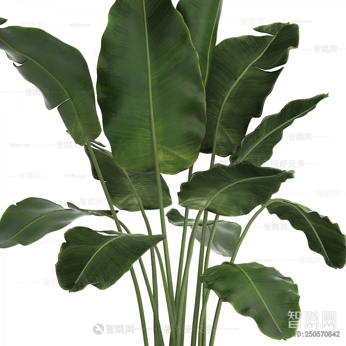Modern Ground Green Plant Potted Plants