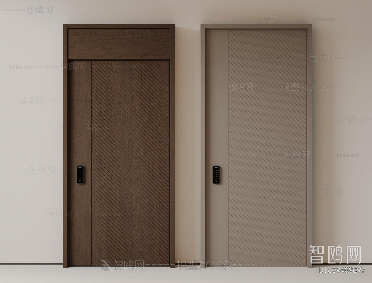Modern Entrance Door