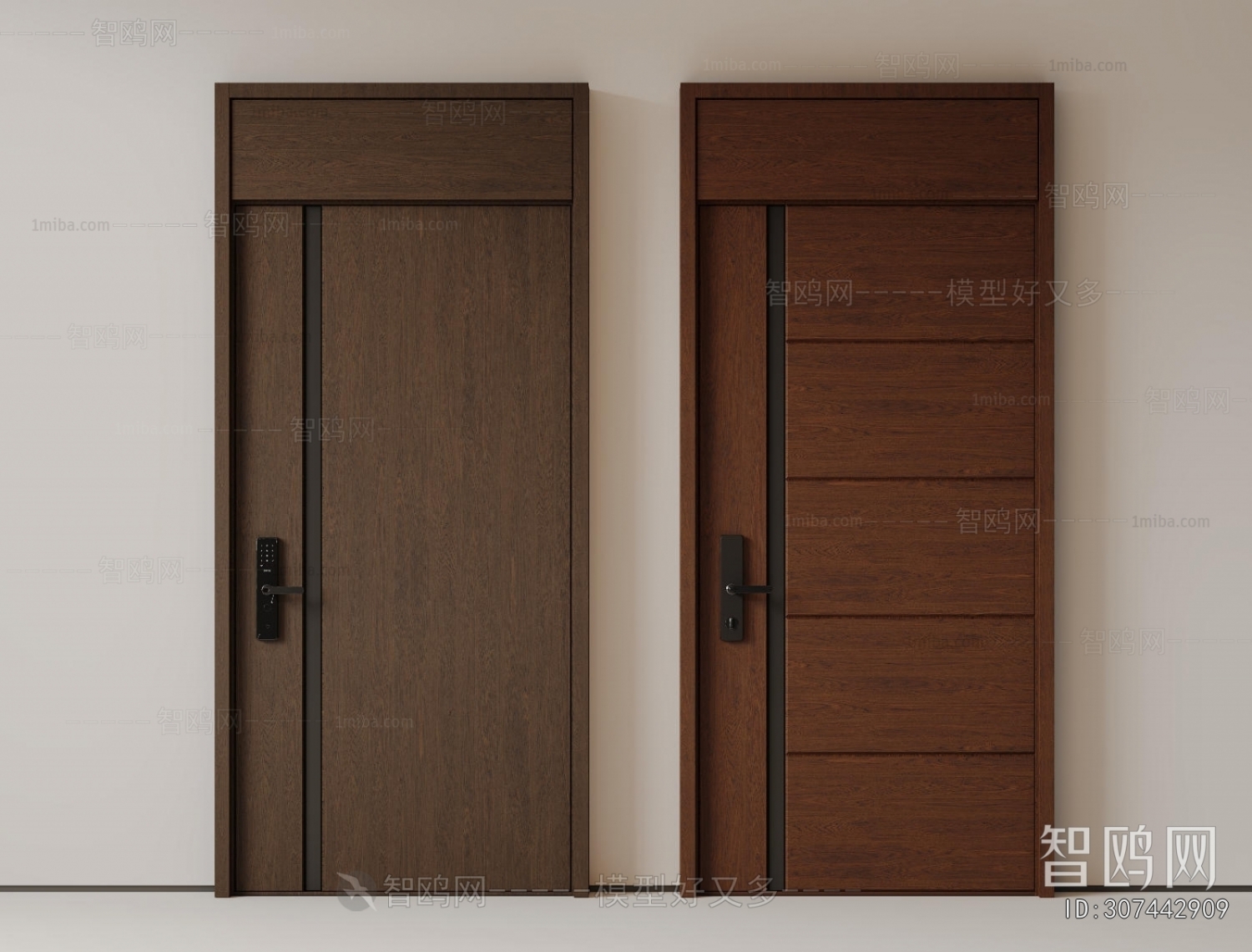 Modern Entrance Door