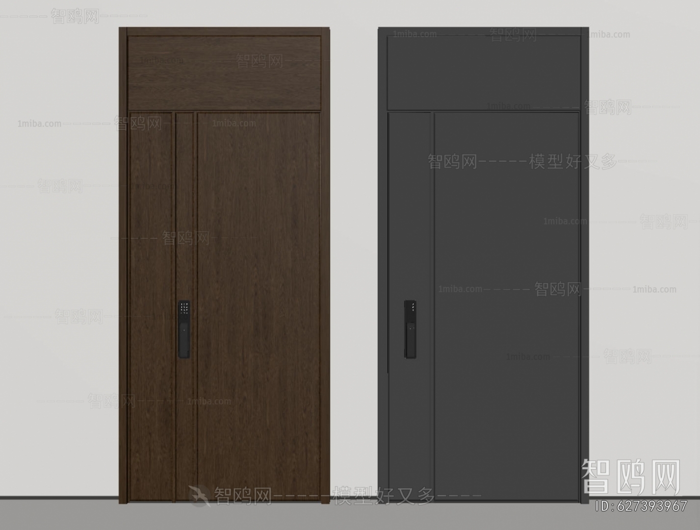 Modern Entrance Door