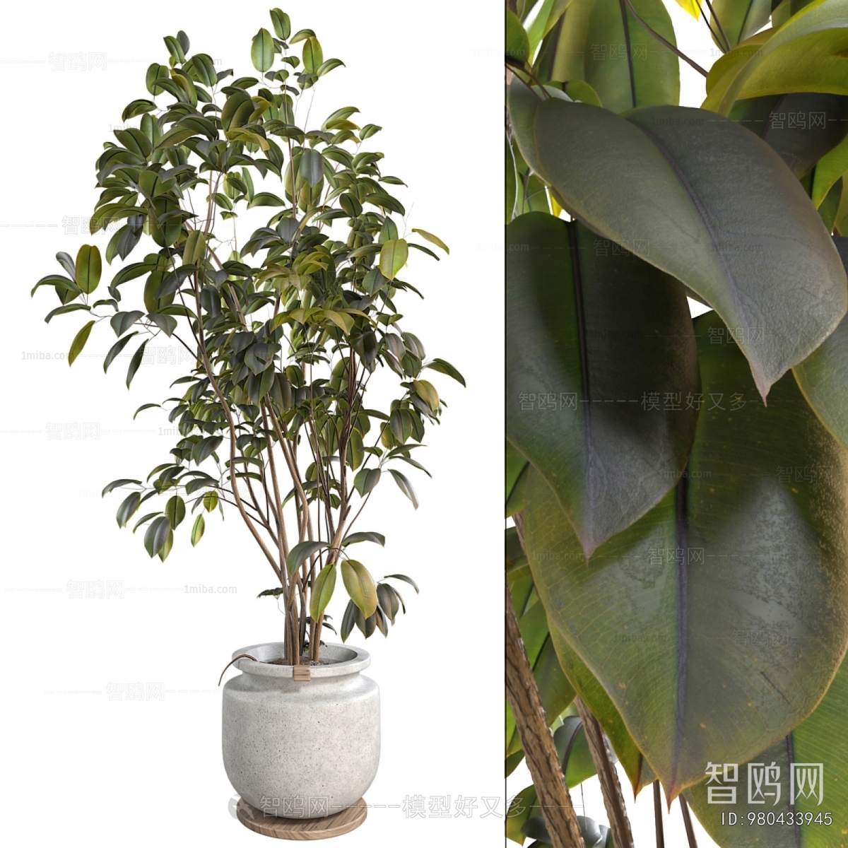 Modern Ground Green Plant Potted Plants