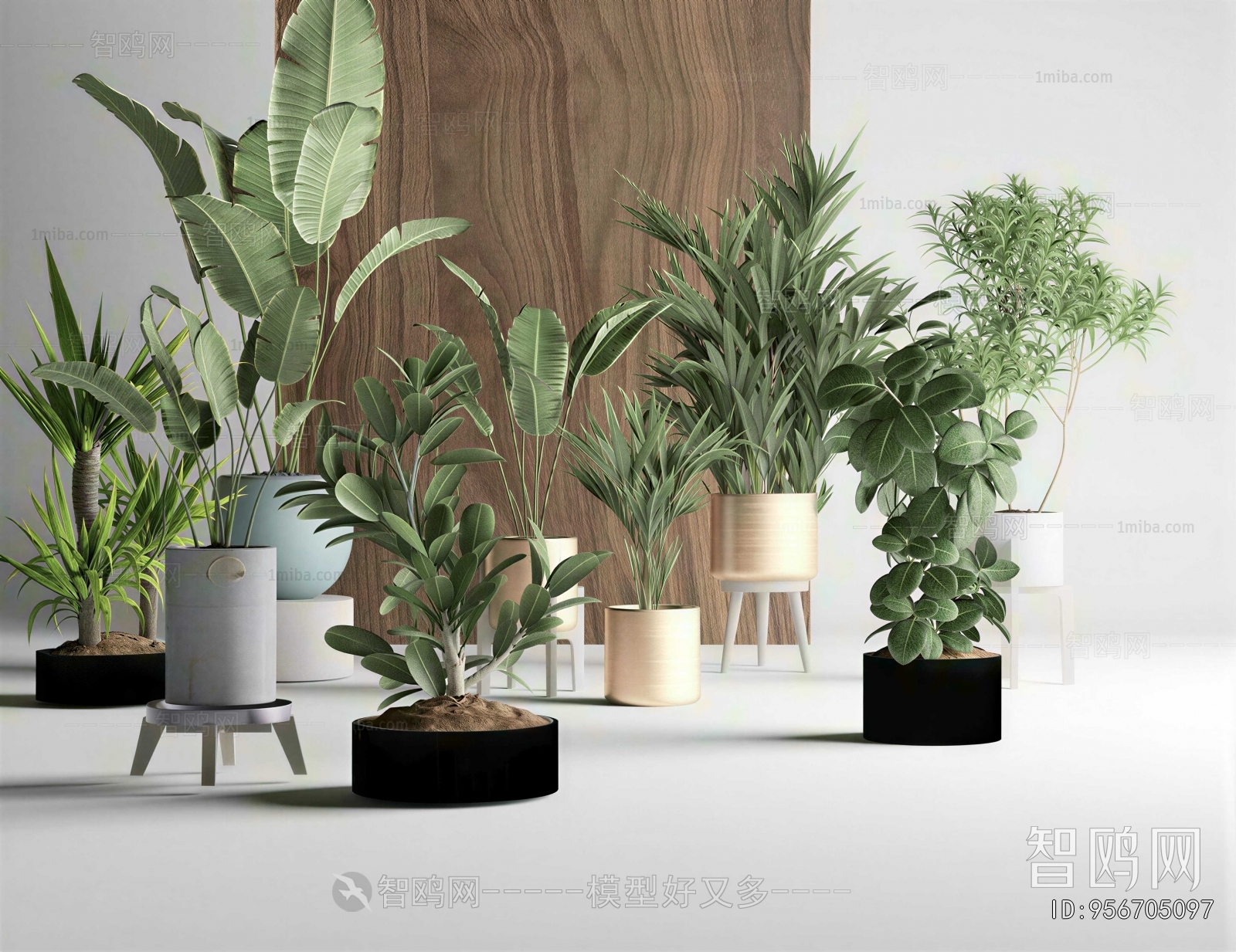 Modern Ground Green Plant Potted Plants