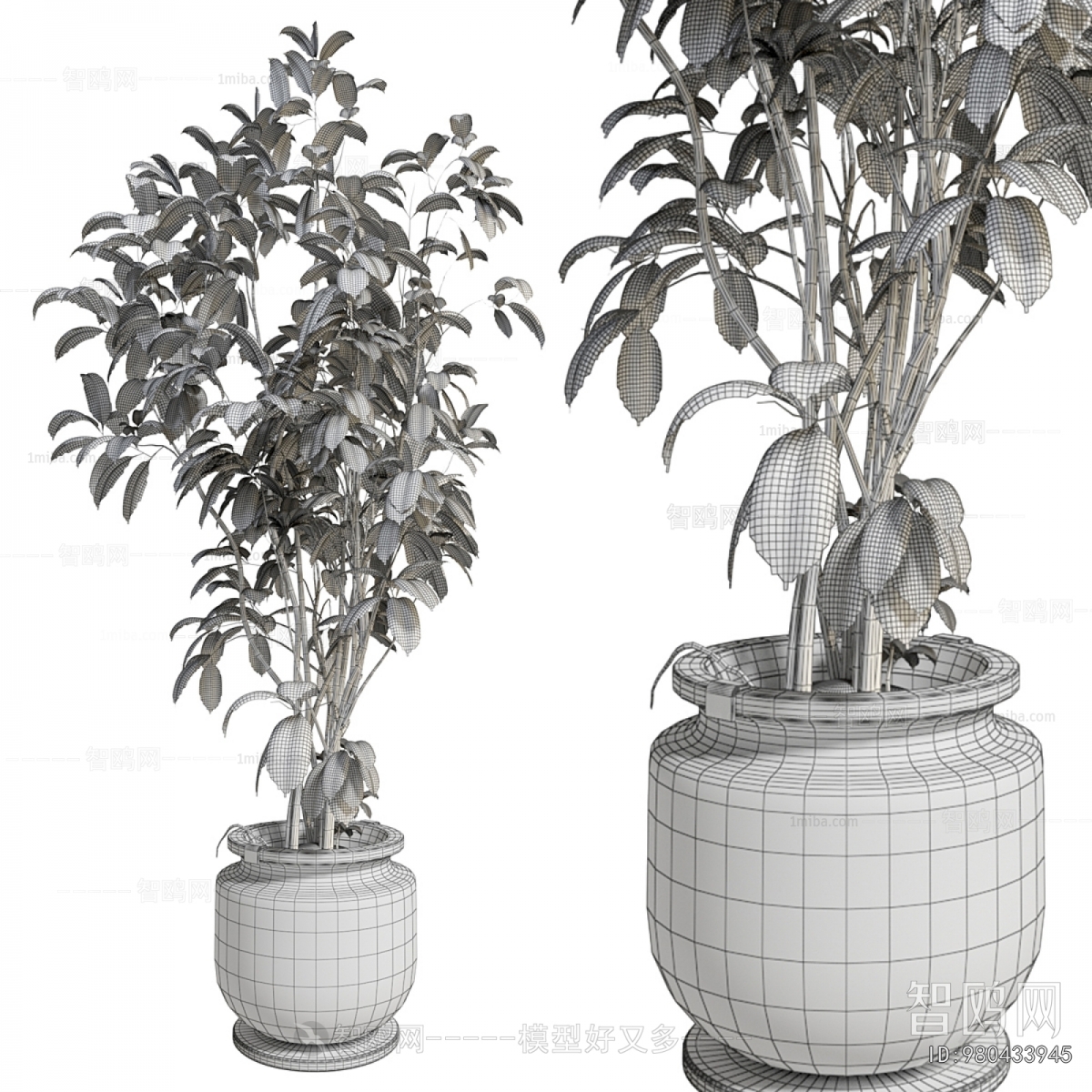 Modern Ground Green Plant Potted Plants