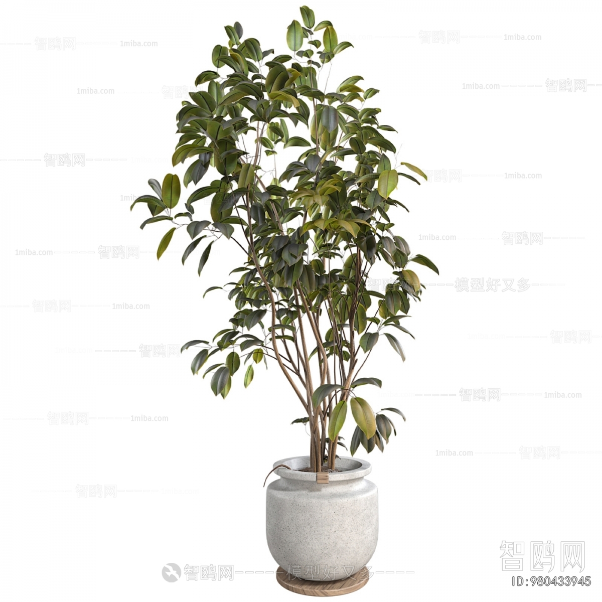 Modern Ground Green Plant Potted Plants
