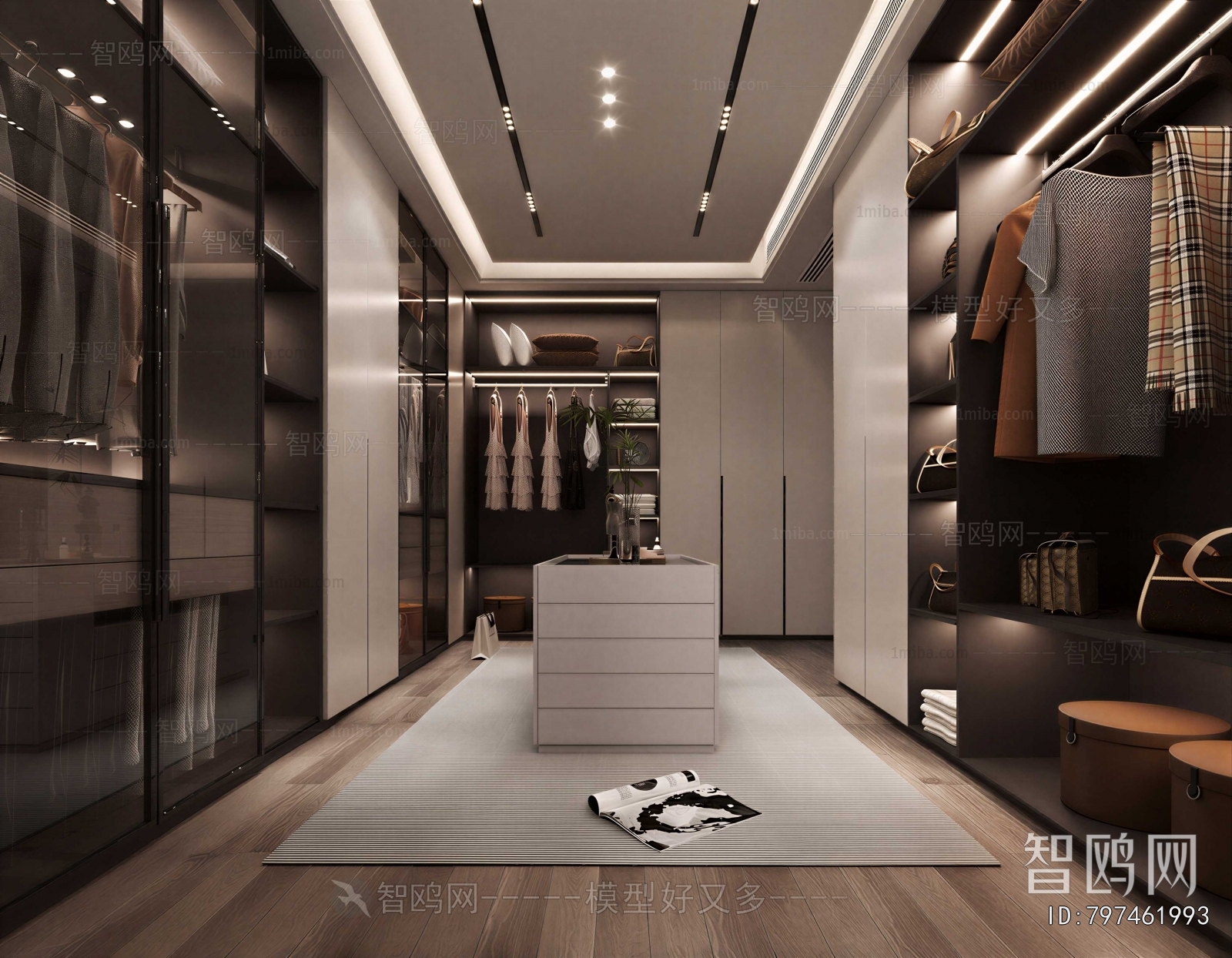 Modern Clothes Storage Area