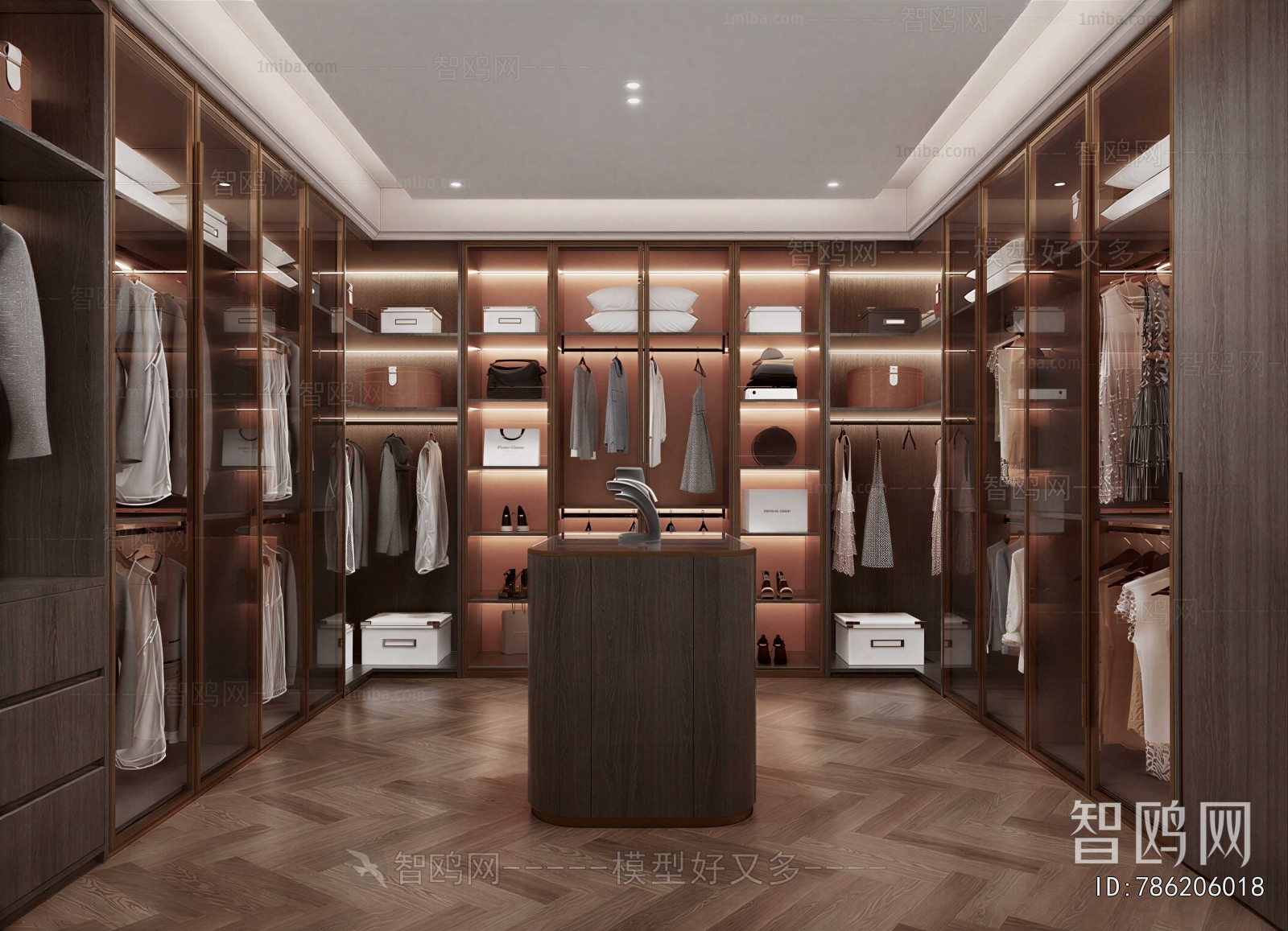 Modern Clothes Storage Area