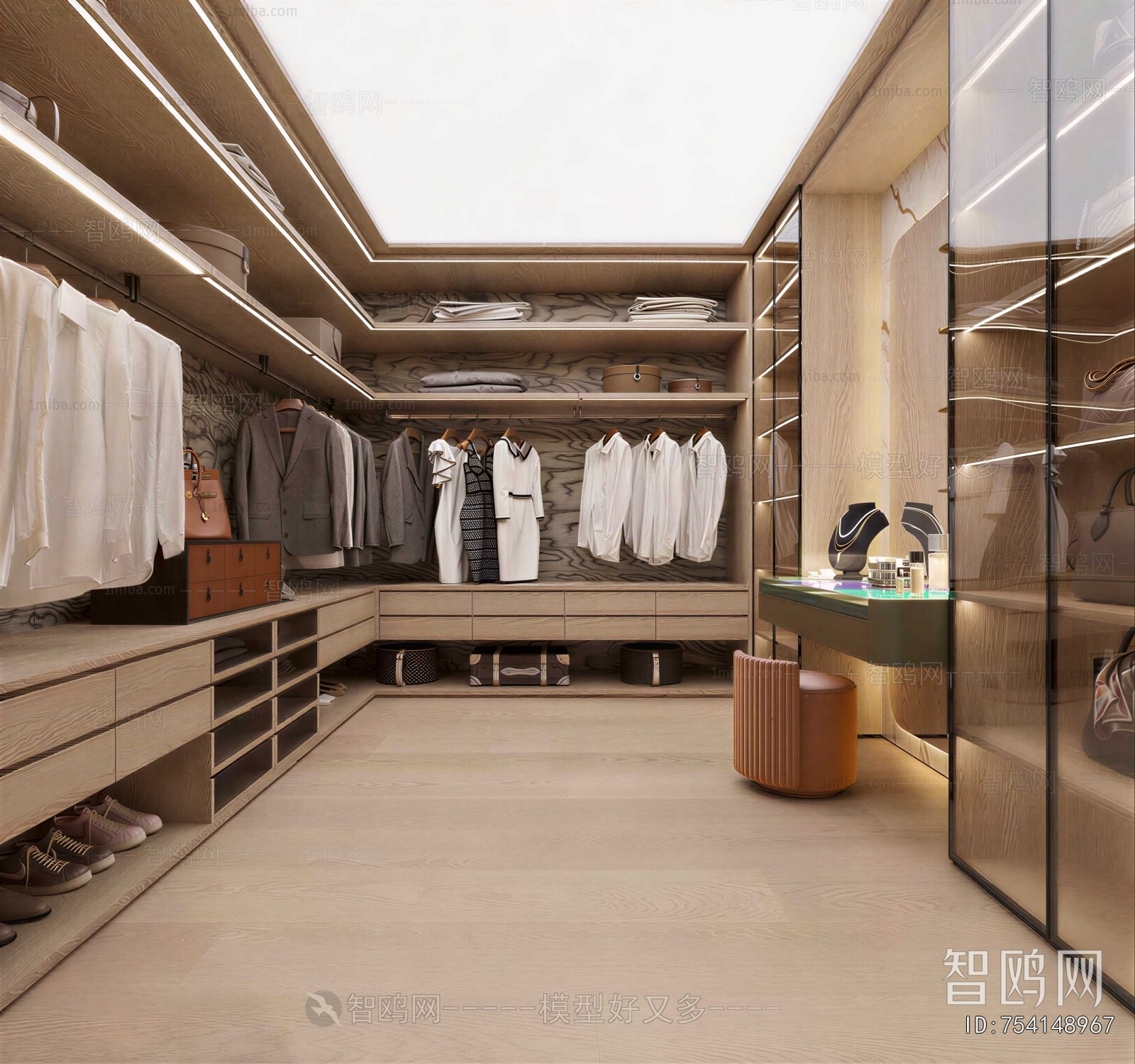 Modern Clothes Storage Area