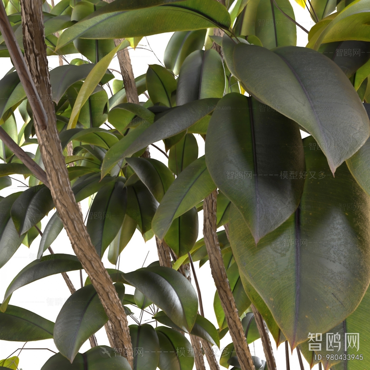 Modern Ground Green Plant Potted Plants