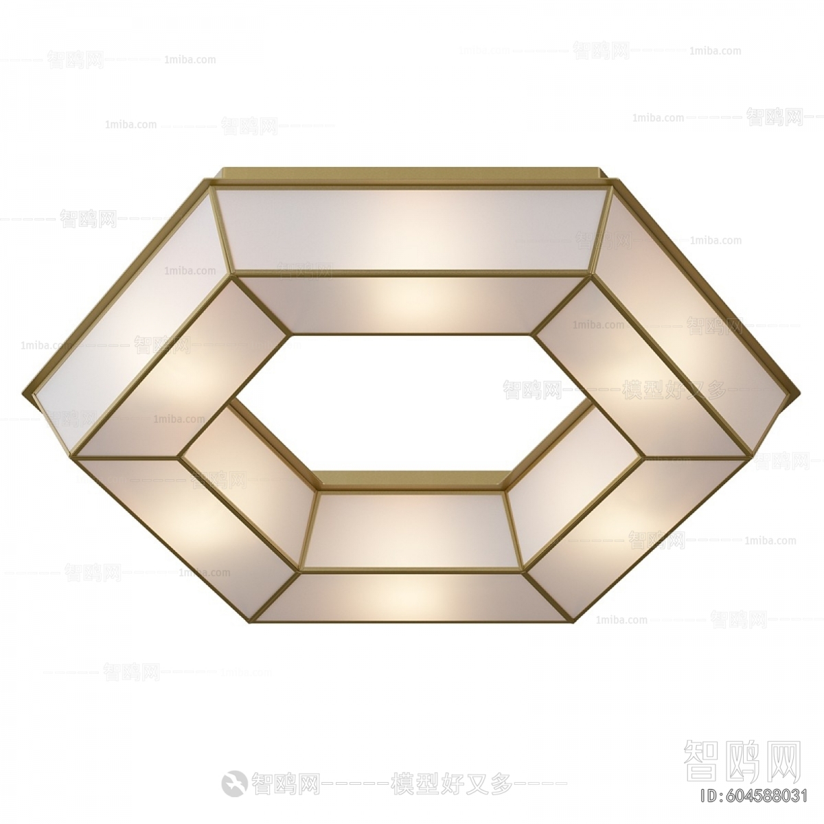 Modern Ceiling Ceiling Lamp