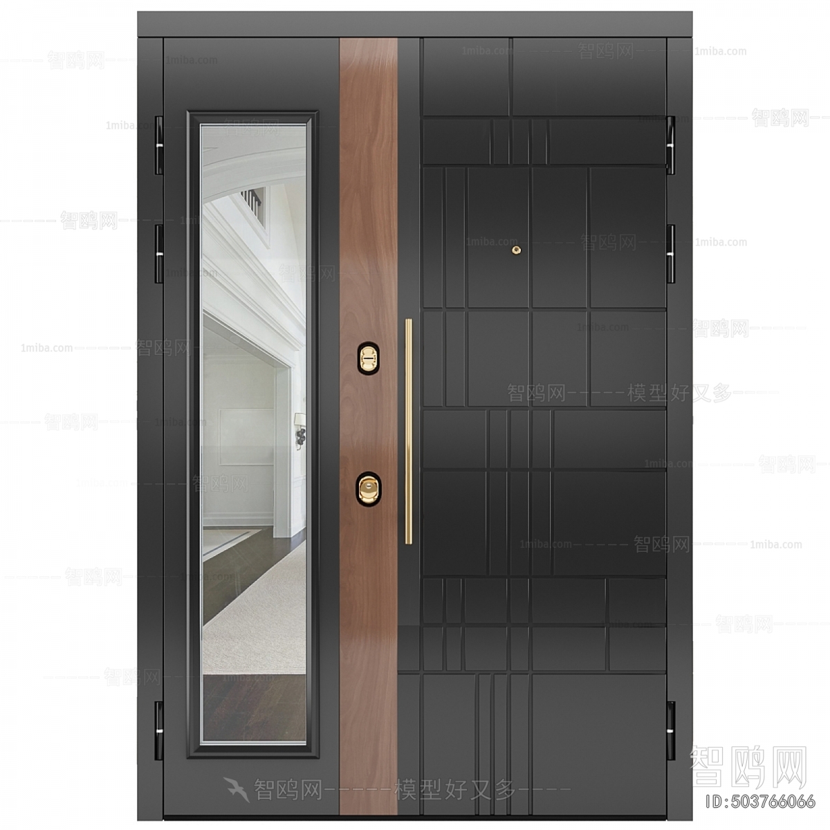 Modern Entrance Door