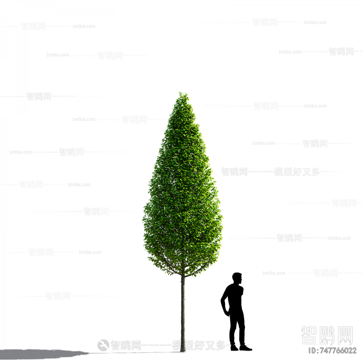 Modern Tree