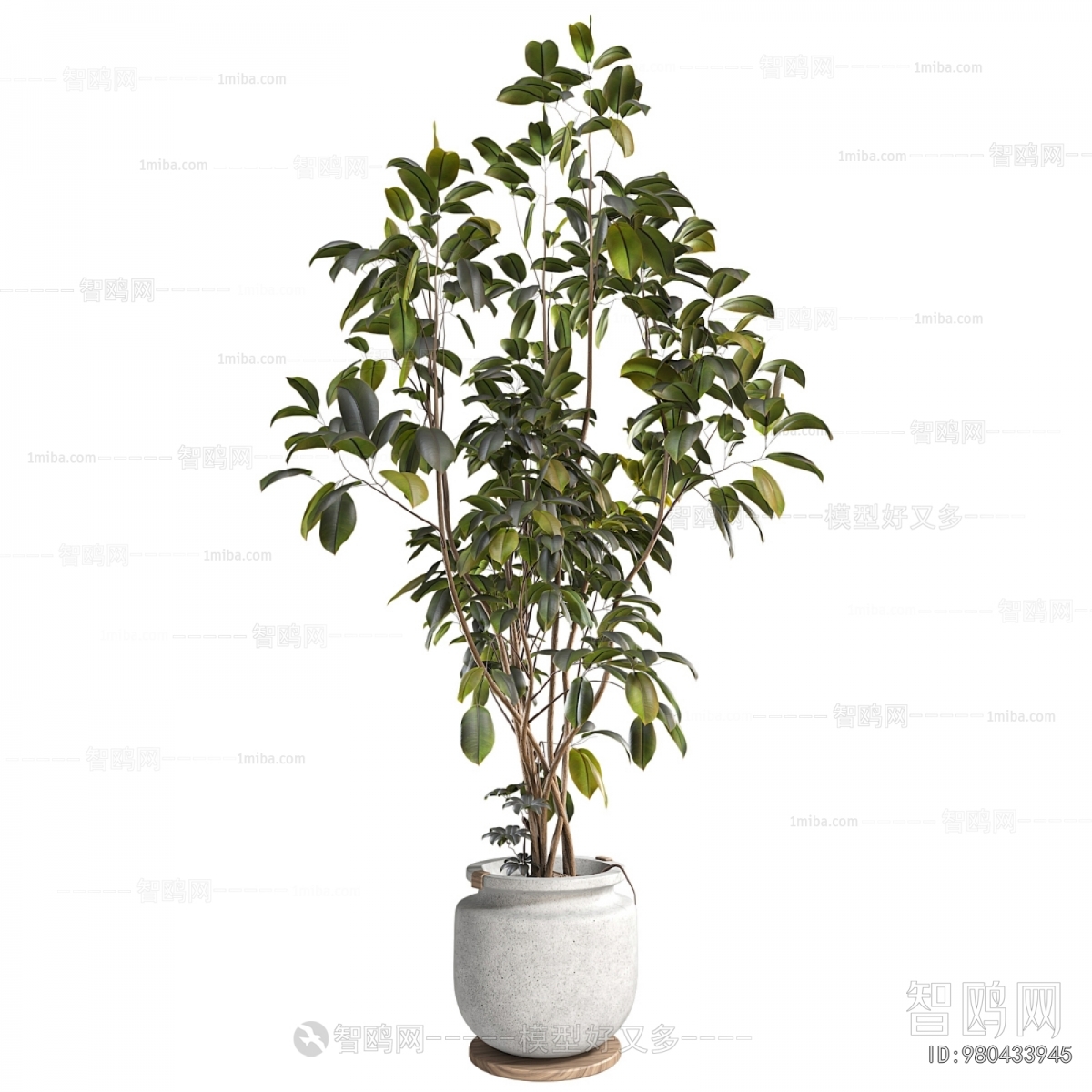 Modern Ground Green Plant Potted Plants