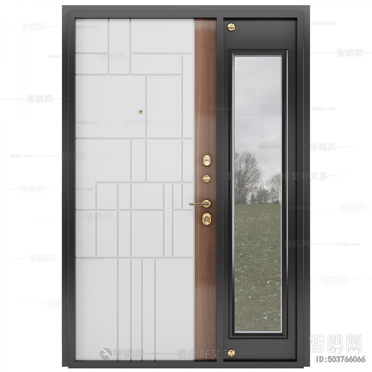 Modern Entrance Door