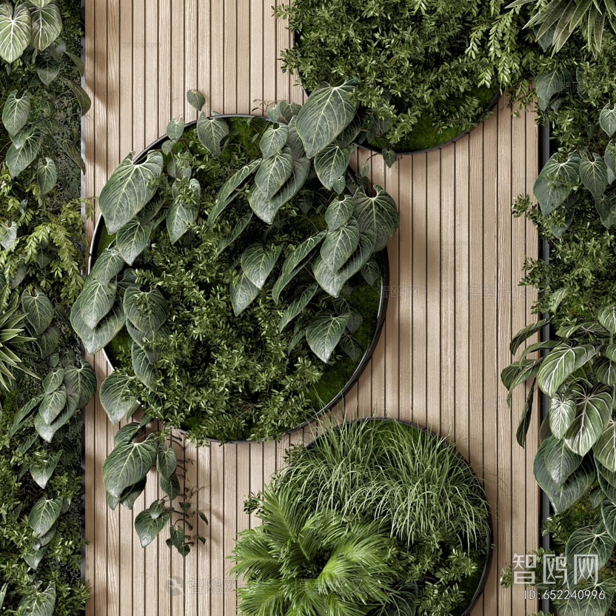 Modern Plant Wall