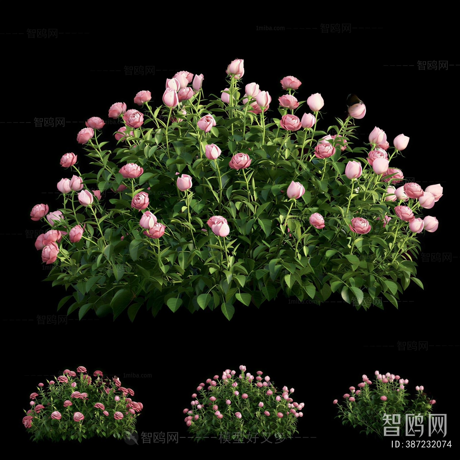 Modern Flowers And Grass