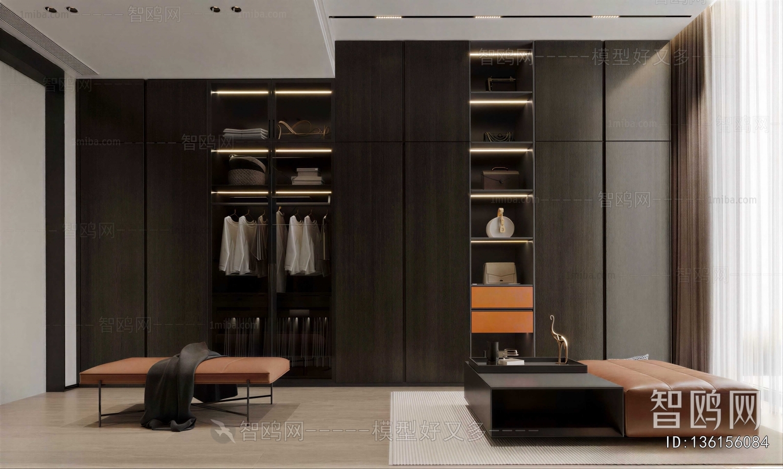 Modern Clothes Storage Area
