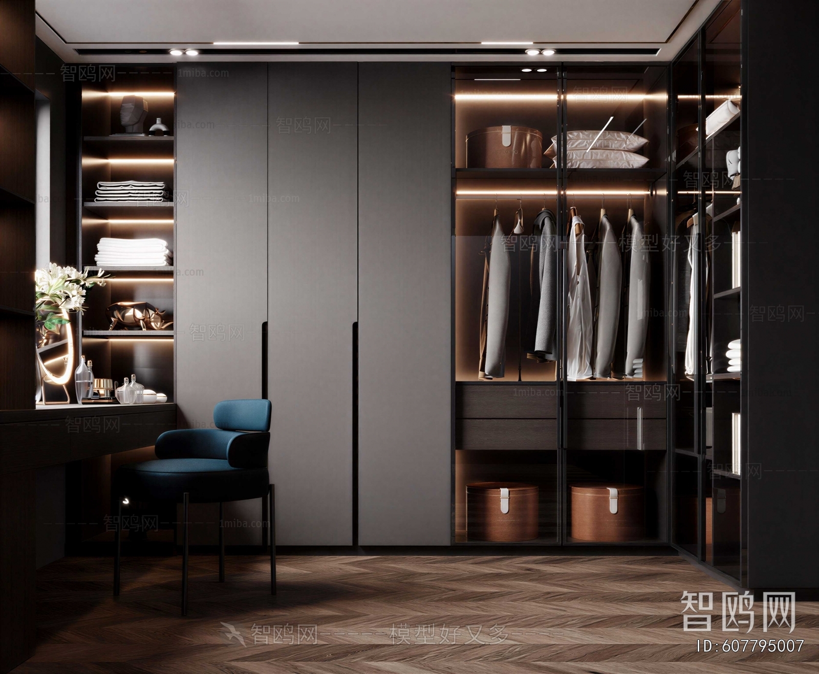 Modern Clothes Storage Area