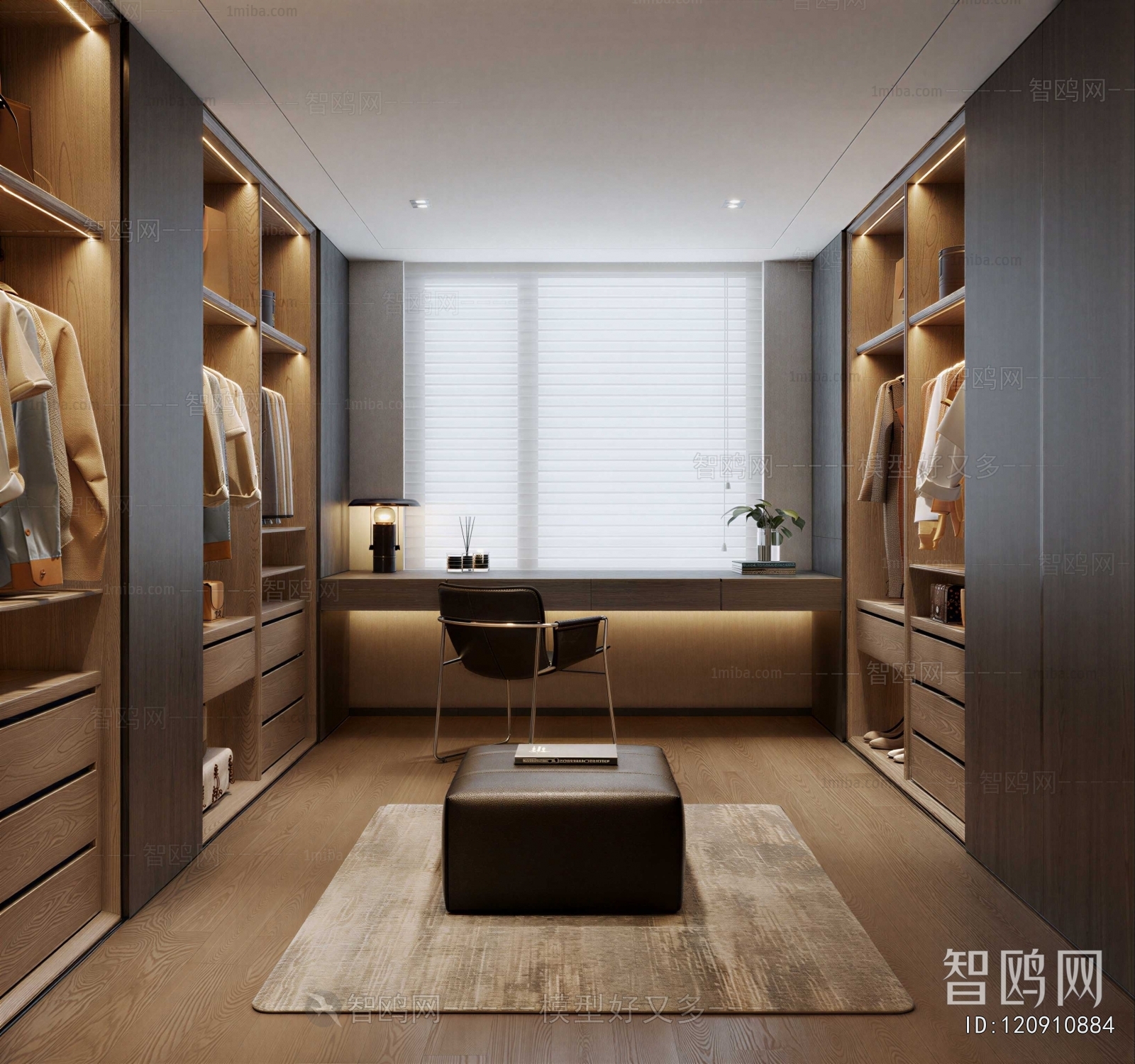 Modern Clothes Storage Area